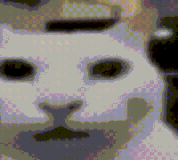 uncanny_cat