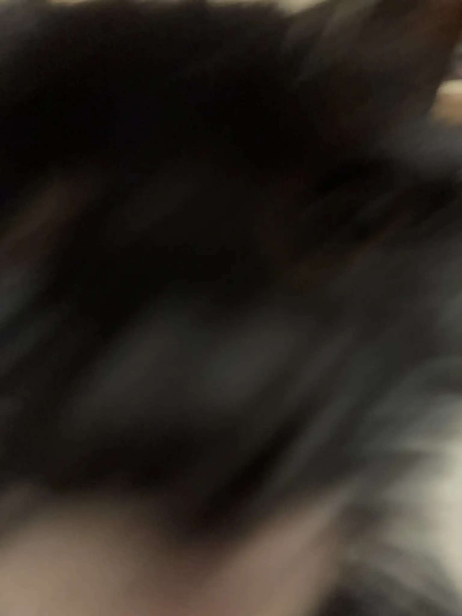 closeup photo of nia with tasteful diagonal motion blur