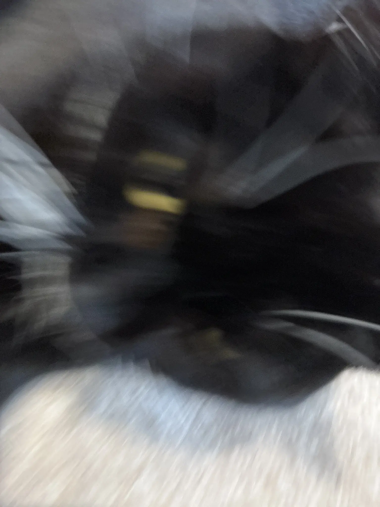 incredibly blurry photo of nias face