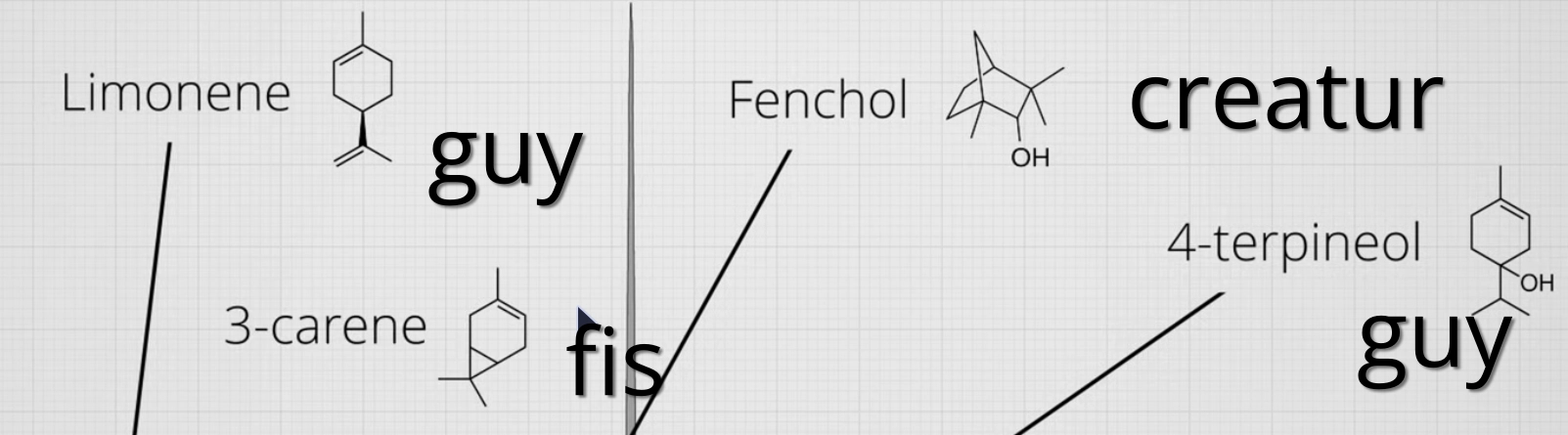 the chemical diagrams for limonene, fenchol, 3-carene, 4-terpineol, and cinnamaldehyde

which look like a guy, a creature, a fish, and a guy