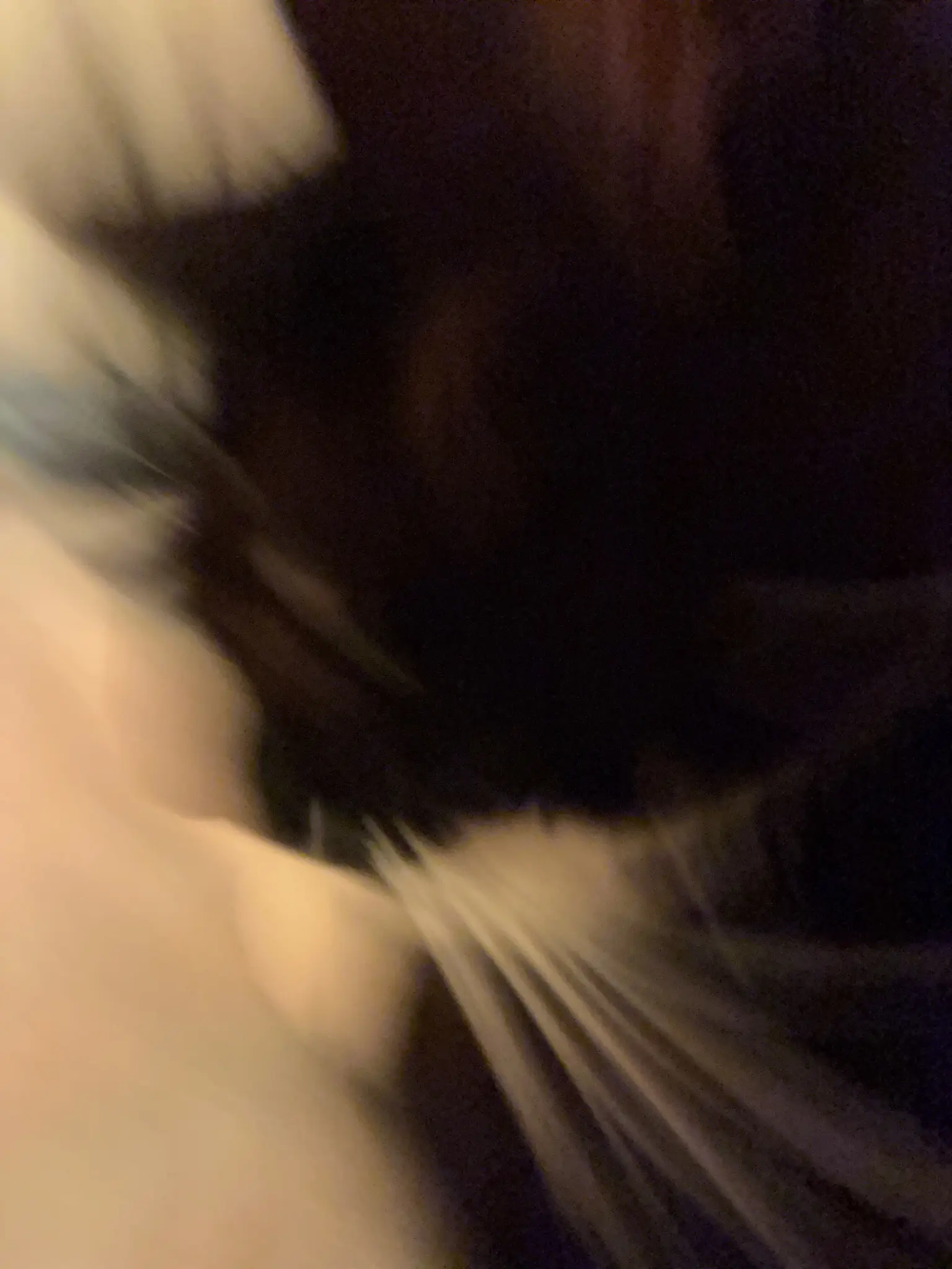 blurry nia image. what did you expect from this account this is all i post unless void.rehab is down then i post about idk job interviews or something