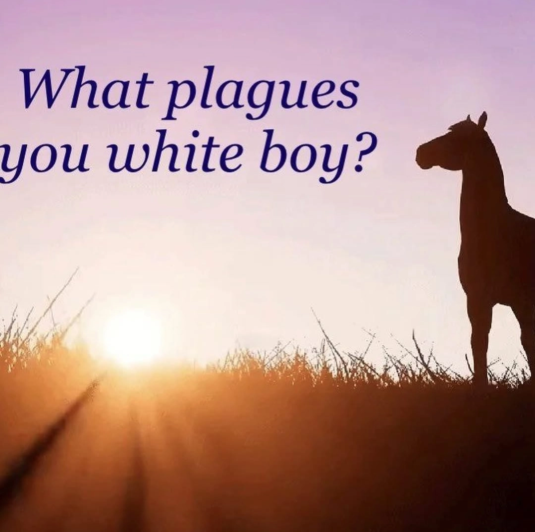 a horse stands in the shadow of a sunset, text says "what plagues you white boy?"