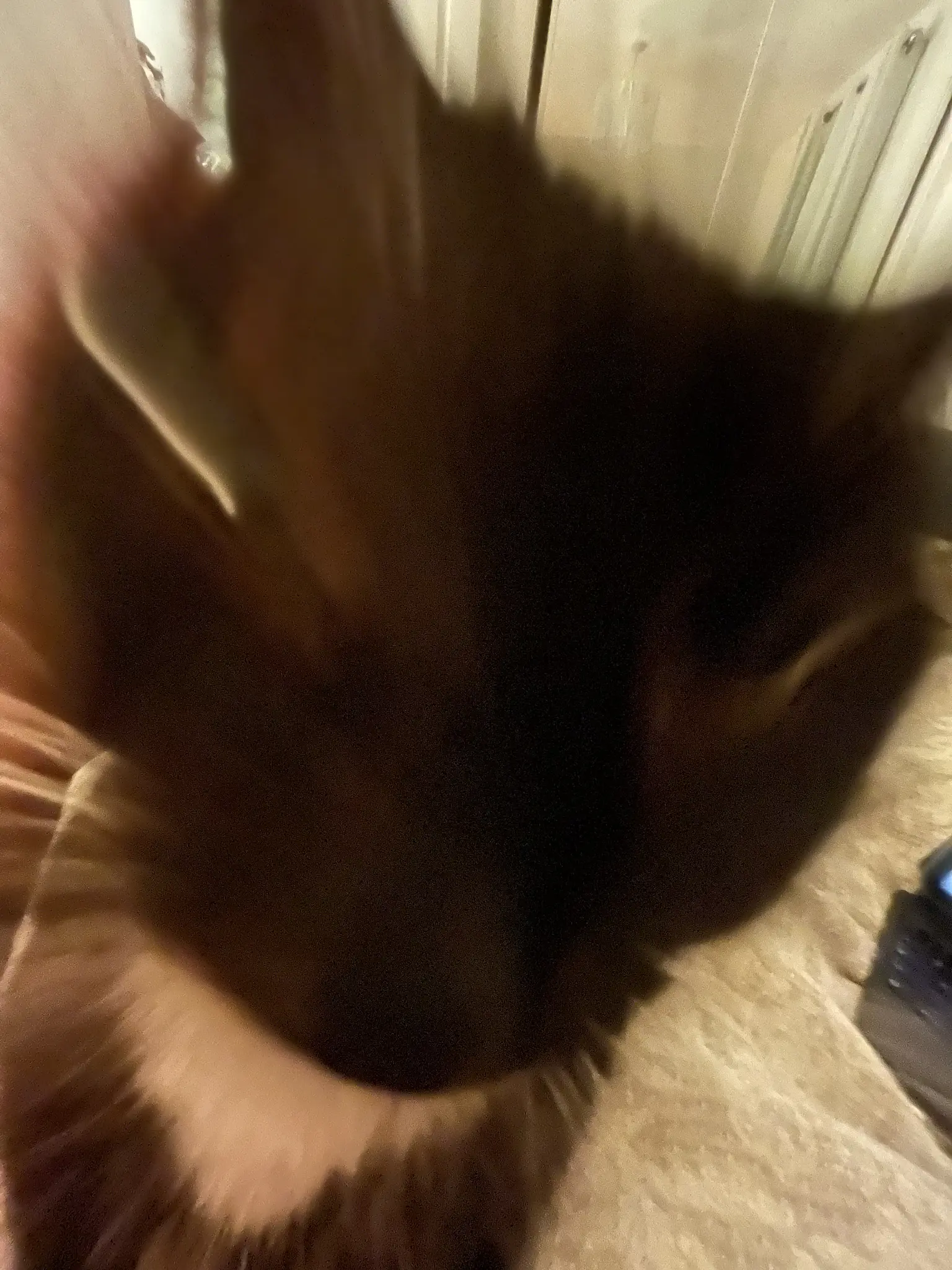 wide angle photo of nia with aggressive zoom blur