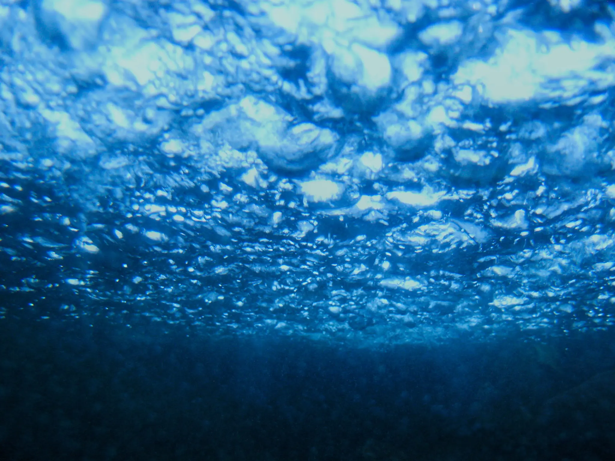 underwater photo, looking towards the lit surface, which is bubbling a lot