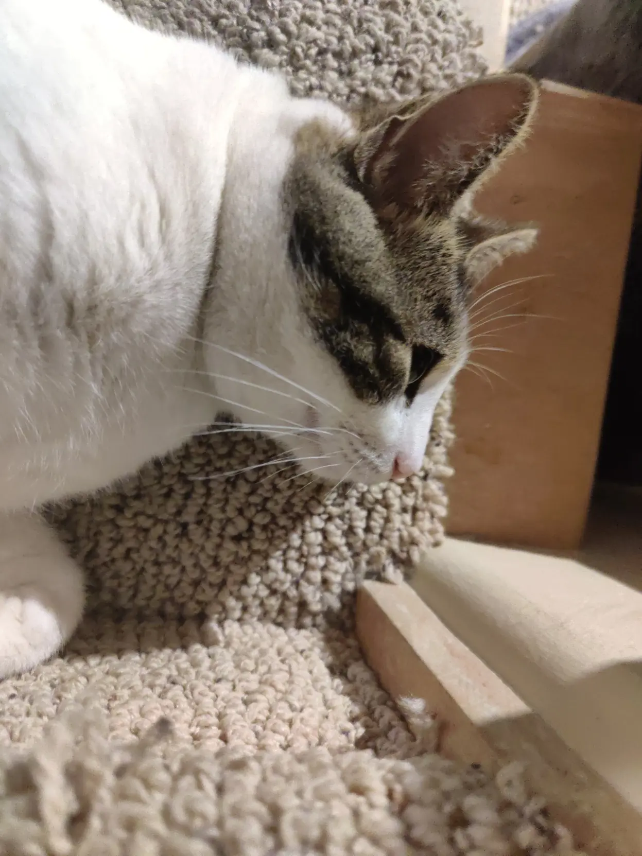 she is just looking straight ahead