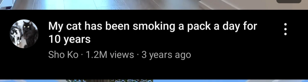 video titled "my cat has been smoking a pack a day for 10 years"