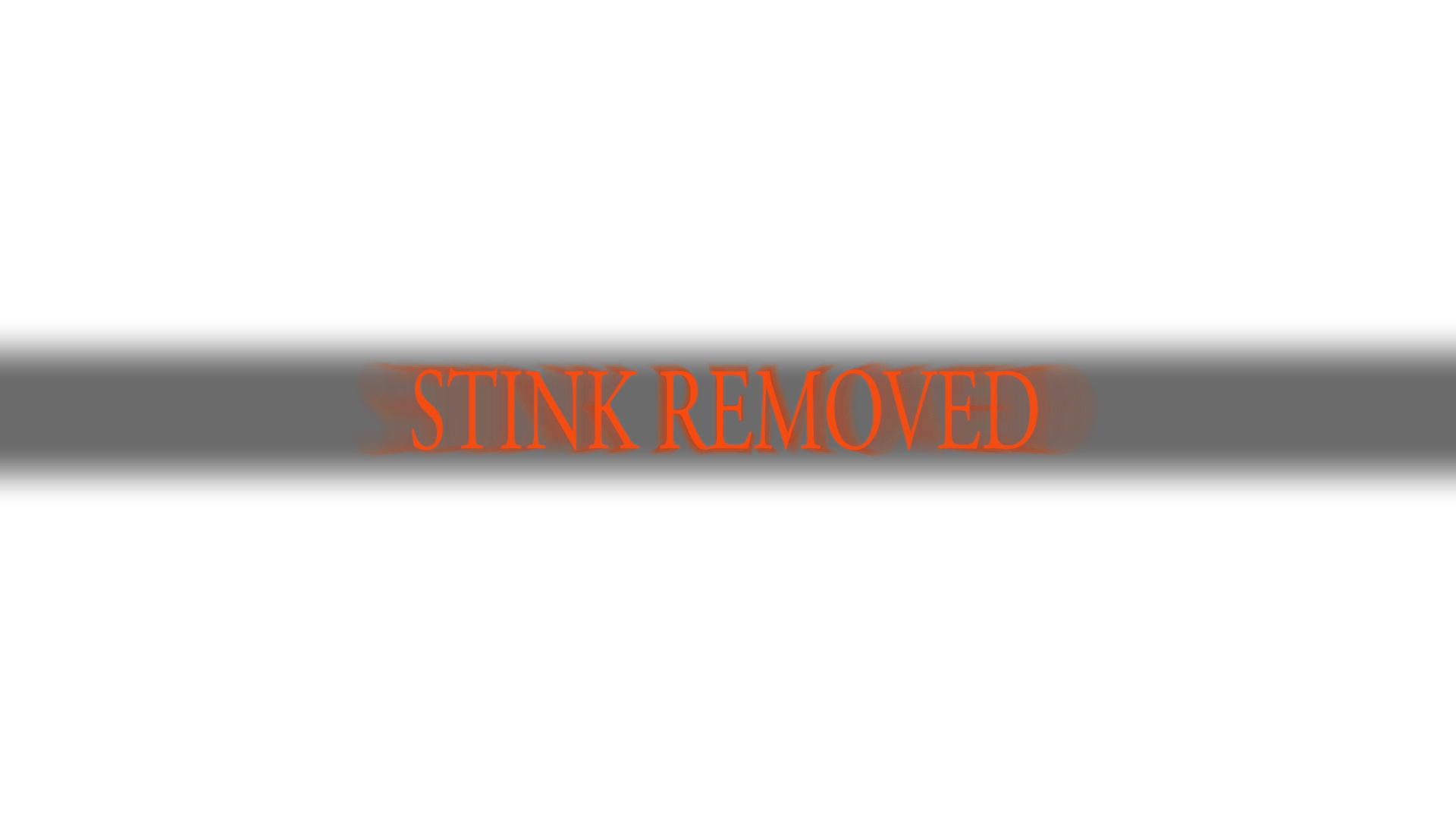 dark souls 3 text "stink removed"