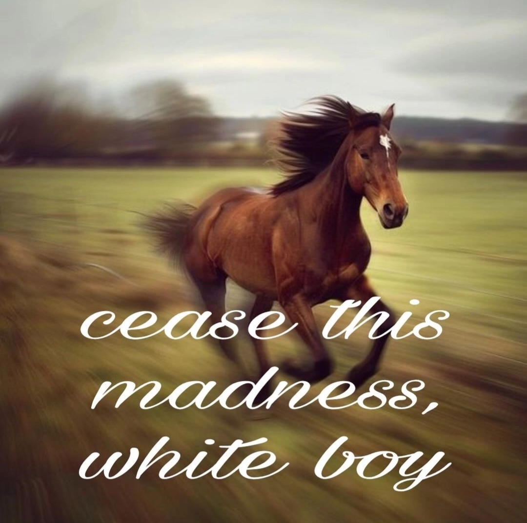 a very fast horse is runnin, and the fancy text says "cease this madness, white boy"