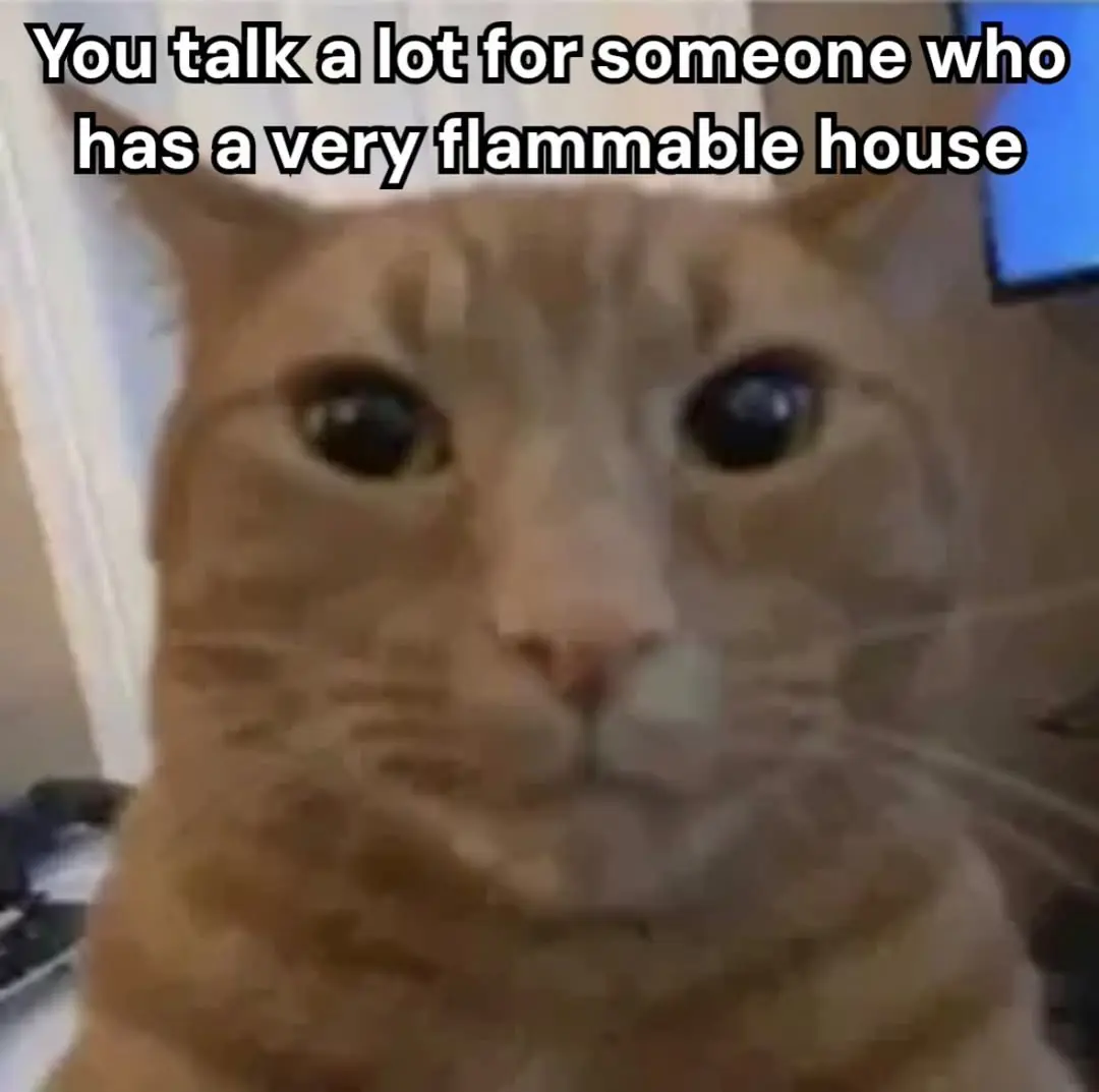 orange cat staring at the camera, text says "you talk a lot for someone who has a very flammable house"