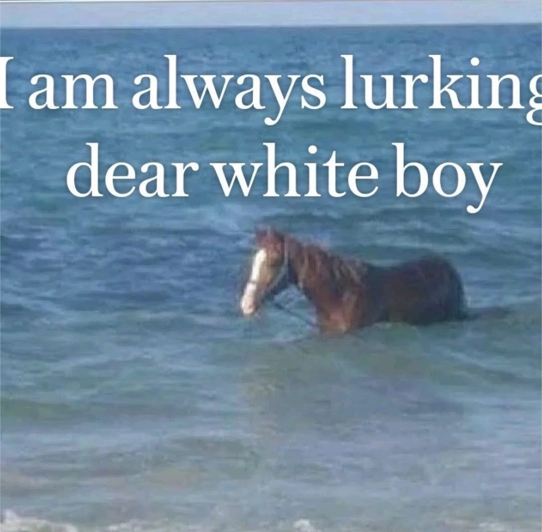 horse is wading through a large body of water, some cutoff text says "I am always lurking dear white boy"