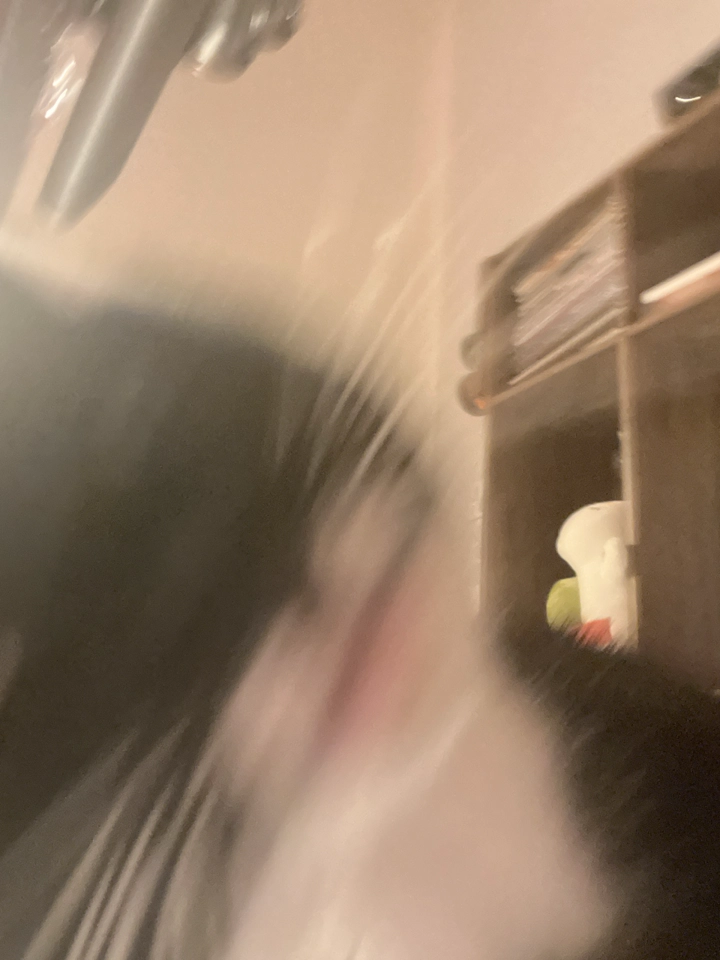 extremely blurry photo of my cats face with her weird whiteboy lips