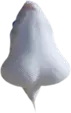 :balls_fish: