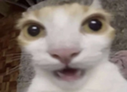 :horror: